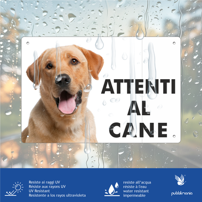 Pubblimania „Vorsicht vor dem Labrador“-Schild aus 3 mm starkem Aluminiumverbundmaterial