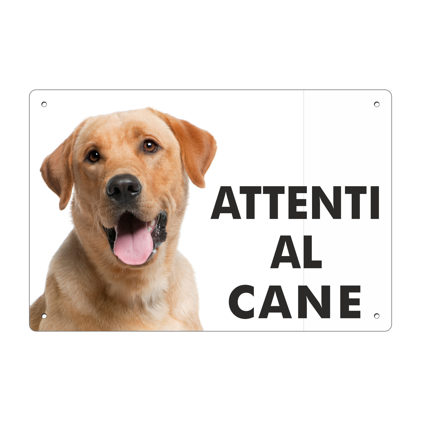 Pubblimania „Vorsicht vor dem Labrador“-Schild aus 3 mm starkem Aluminiumverbundmaterial