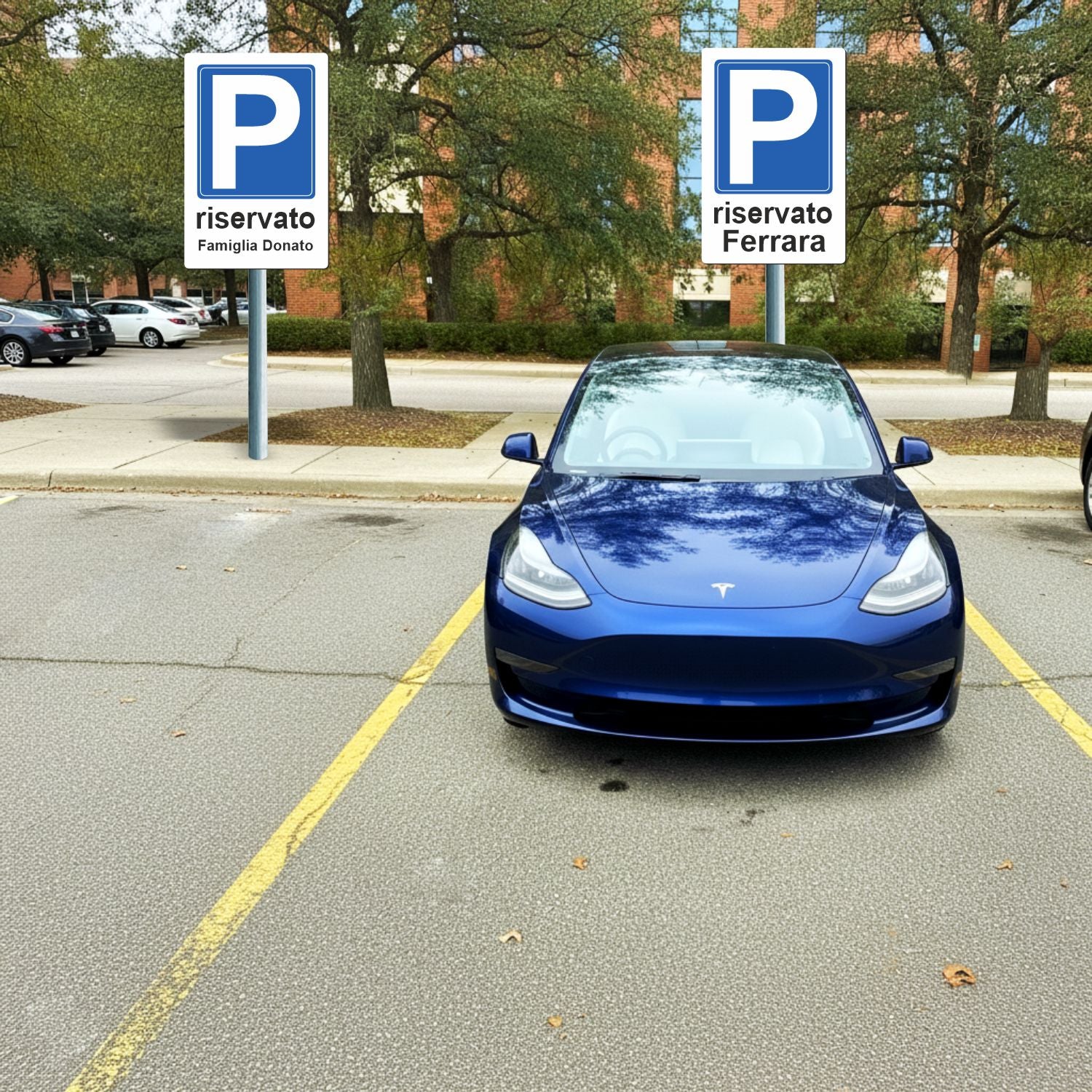 parcheggio-personalizzato-paletto