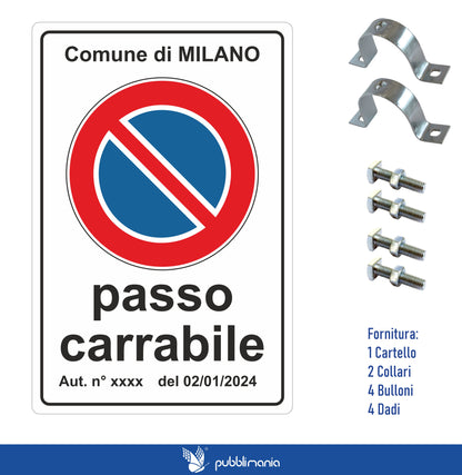 paso carrabile cm 40x60 con kit di montaggio