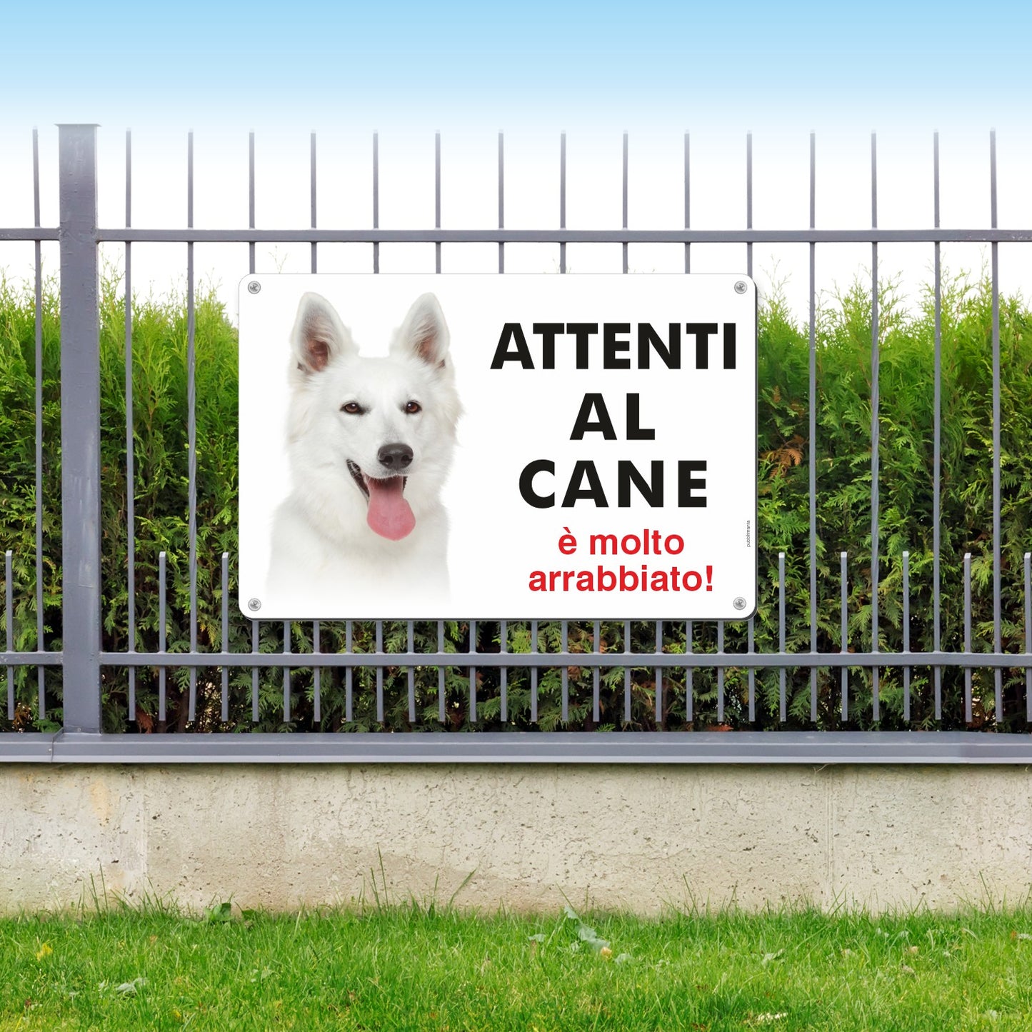 Pubblimania Cartello Attenti al Cane Pastore Svizzero in alluminio da 3 mm per esterno