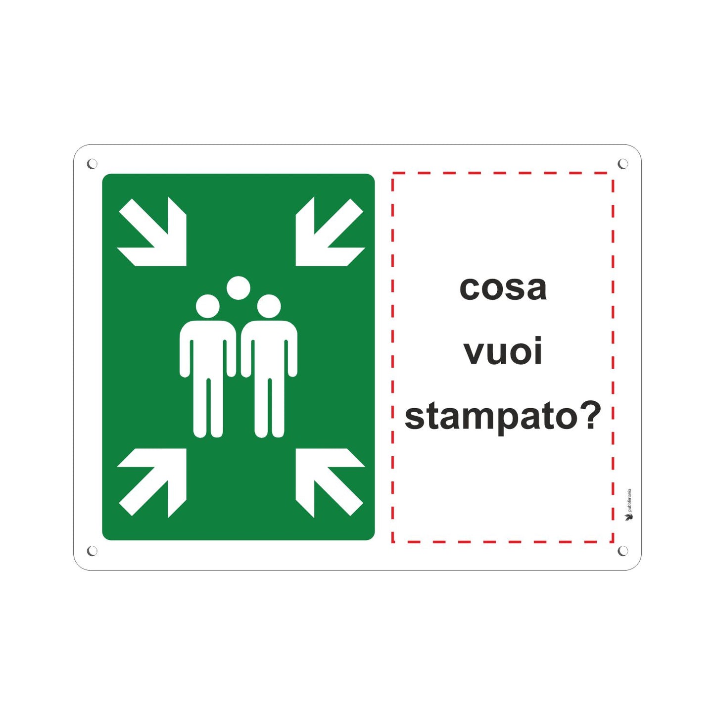 Pubblimania PUNTO DI RACCOLTA ORIZZONTALE PERSONALIZZATO. Cartello in Alluminio rinforzato per esterno