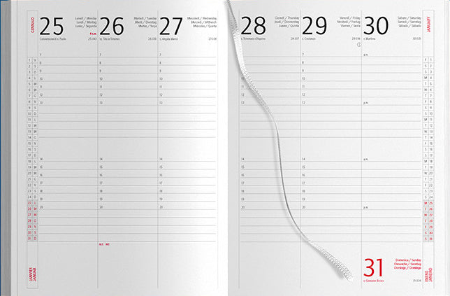 Pubblimania 2026 Tagesplaner 15x21 cm für Termine im Büro, Zuhause und Beruf – Hardcover