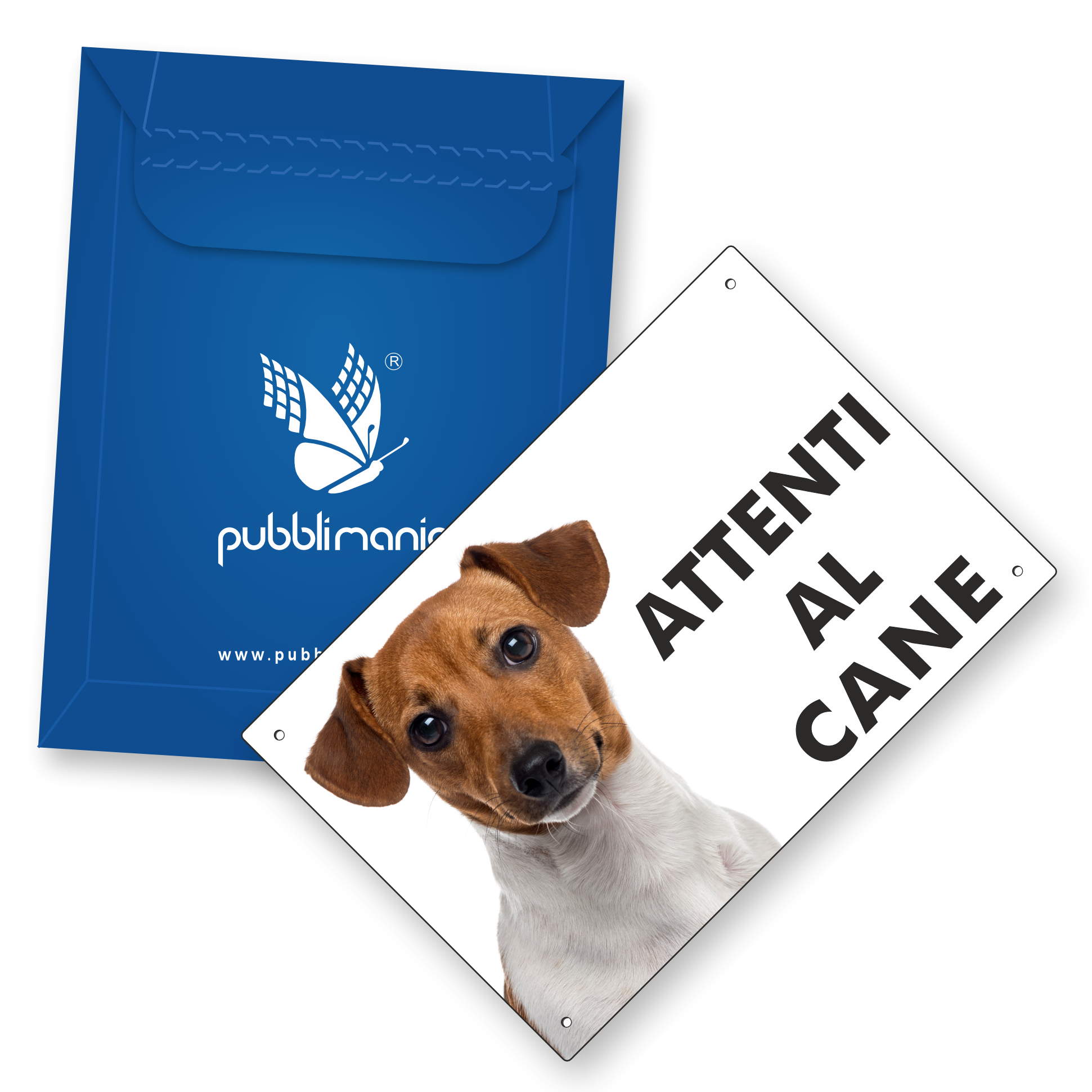 attenti al cane jack russell scatola