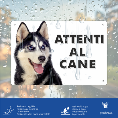 Pubblimania „Vorsicht vor dem Sibirischen Husky“-Schild aus 3 mm starkem Aluminiumverbundmaterial