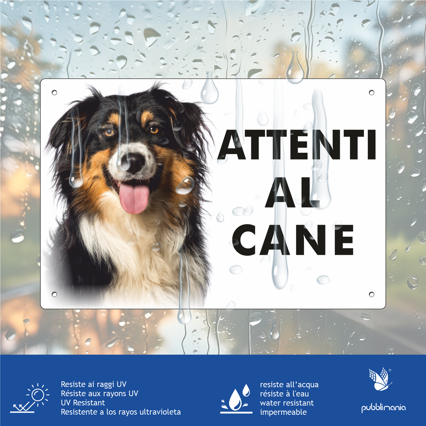 pubblimania cartello in dibond segnale in alluminio composito da 3 millimetri di spessore robusto con 4 fori agli angoli segnaletica cartello attenti al cane attenzione