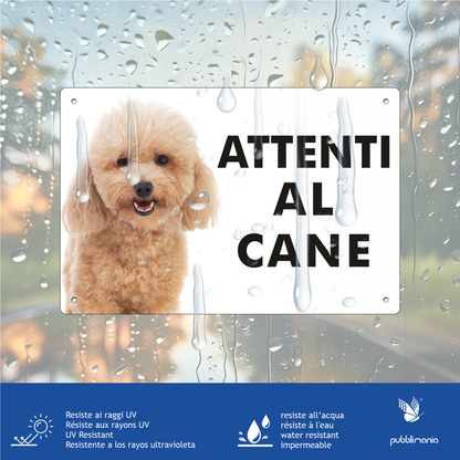 pubblimania cartello in dibond segnale in alluminio composit attenti al cane barboncino