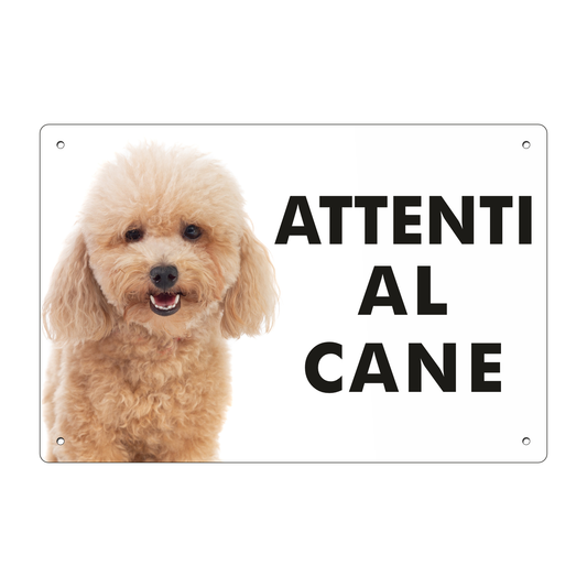 pubblimania cartello in dibond segnale in alluminio composito da 3 millimetri di spessore robusto con 4 fori agli angoli segnaletica cartello attenti al cane barboncino