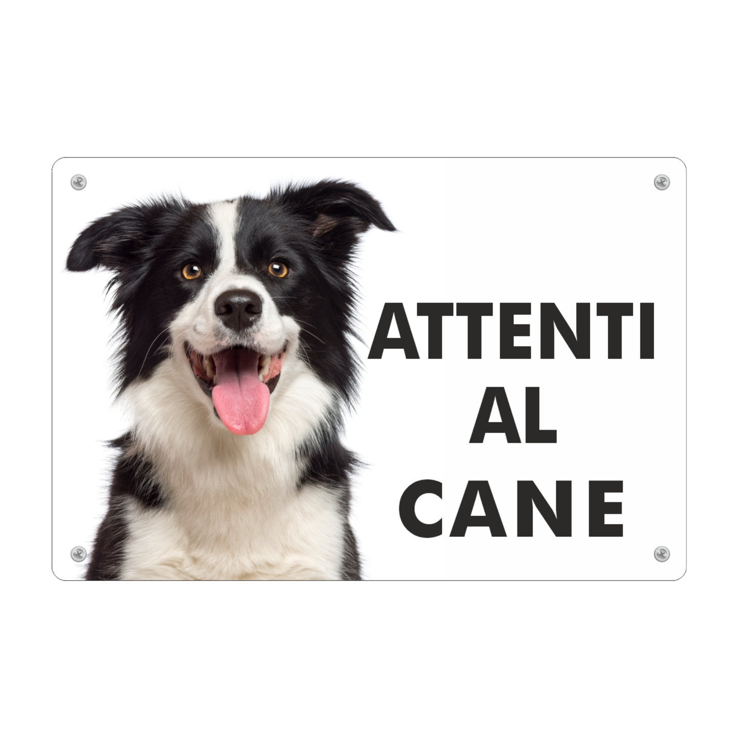 Pubblimania 3mm Aluminium-Warnschild „Vorsicht Border Collie“ für den Außenbereich