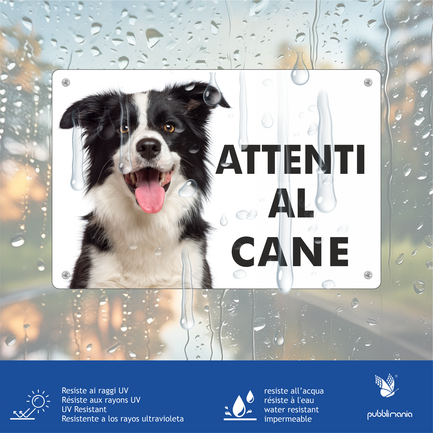 Pubblimania 3mm Aluminium-Warnschild „Vorsicht Border Collie“ für den Außenbereich