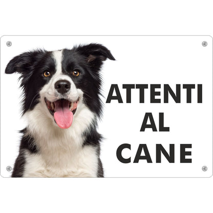 cartello-attenti-cane-border-collie-pubblimania