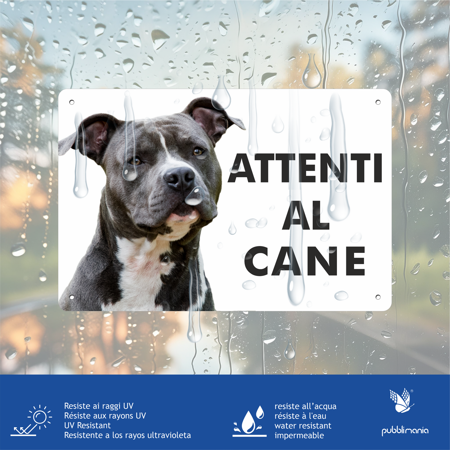 Pubblimania „Vorsicht vor dem American Staffordshire Terrier“-Schild aus 3 mm starkem Aluminiumverbundmaterial