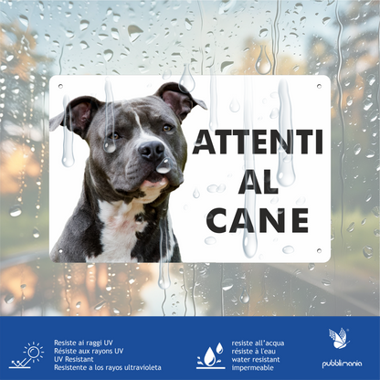 Pubblimania „Vorsicht vor dem American Staffordshire Terrier“-Schild aus 3 mm starkem Aluminiumverbundmaterial