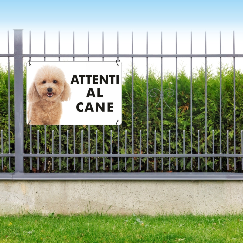 attenti-al-cane-barboncino-pubblimania