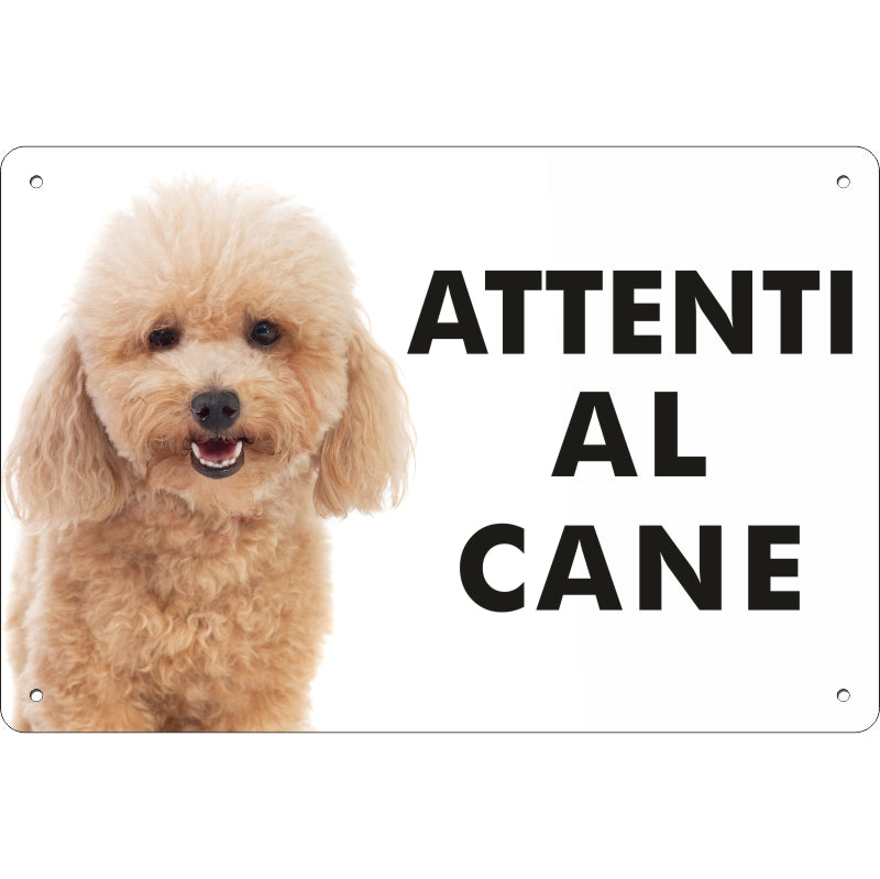 pubblimania-ATTENTI-AL-CANE-barboncino