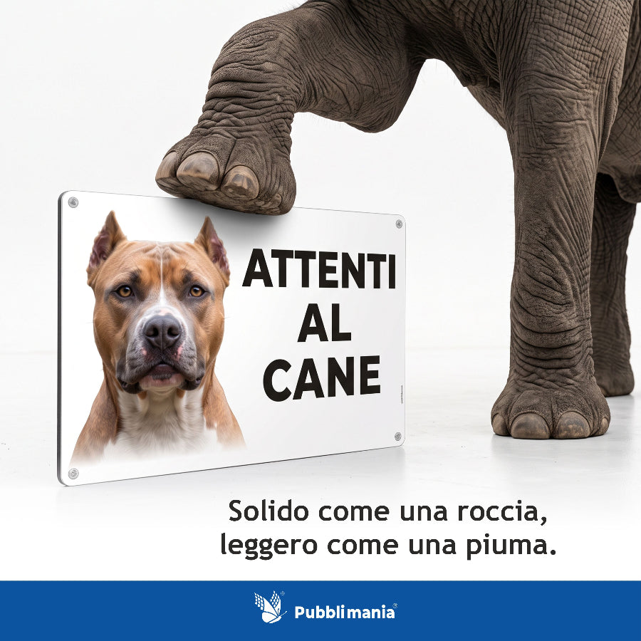 cartello attenti al cane pitbull resistente solido come una roccia schiacciato da un elefante